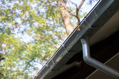 Gutter Cover System in Action